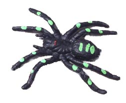 Scare Box Spider
